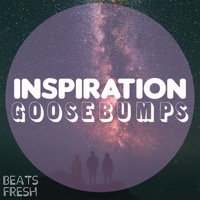 INSPIRATION AND GOOSEBUMPS album cover