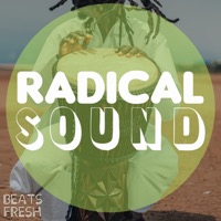 RADICAL SOUND album cover