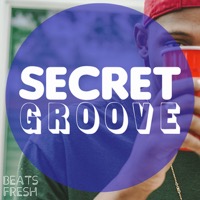 SECRET GROOVE album cover