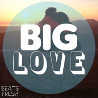 BIG LOVE album cover