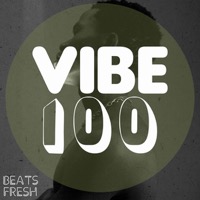 VIBE 100% album cover