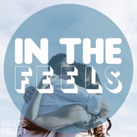 IN THE FEELS album cover