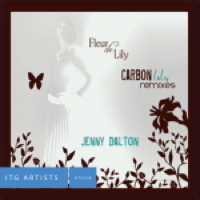 Carbon Lily Remixes album cover