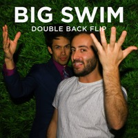 Double Back Flip album cover