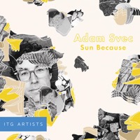 Sun Because album cover