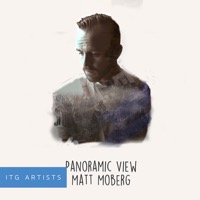 Panoramic View album cover