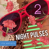 Night Pulses 2 album cover