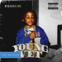 Young Vet album cover