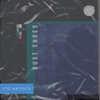 Dust Shoes album cover