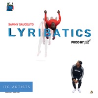 Lyribatics album cover