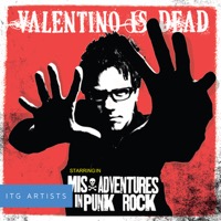 Misadventures in Punk Rock album cover