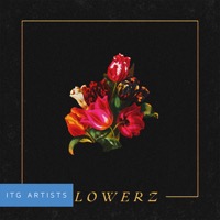 FLOWERZ: Dark album cover