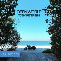 Open World album cover