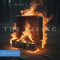 The Rising album cover