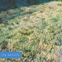 New Seeds album cover