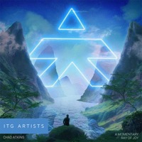 A Momentary Ray of Joy album cover
