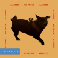 All Roses album cover