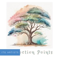 Connection Points album cover