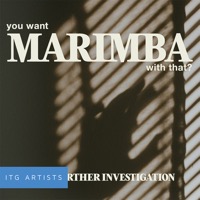 You Want Marimba With That?: Upon Further Investigation album cover