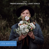 Transcendental Love Songs album cover