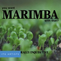 You Want Marimba with That?: Naturally Inquisitve album cover