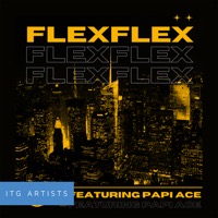 Flex album cover