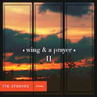 Wing And A Prayer II album cover