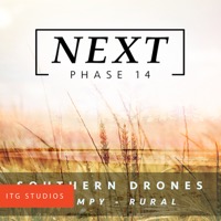 PHASE 14 : Southern album cover