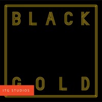 Black Gold album cover
