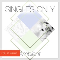 Singles Only II : Ambient album cover