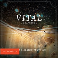 Chapter 2: Piano and String Textures album cover
