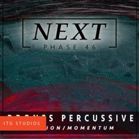 PHASE 46: Percussive Drones album cover