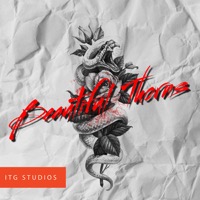 Beautiful Thorns album cover