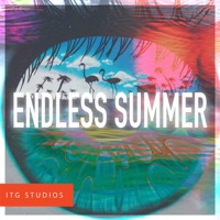 Endless Summer album cover