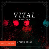 Chapter 8 : String Stabs album cover