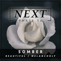 PHASE 56 : Somber - Beautiful album cover