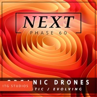 PHASE 60 : Drones Organic album cover