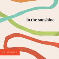 In the Sunshine album cover