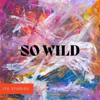 So Wild album cover