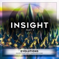 Part 3: Evolutions album cover