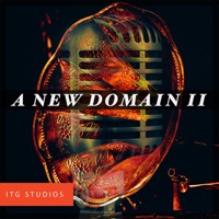 A New Domain II album cover