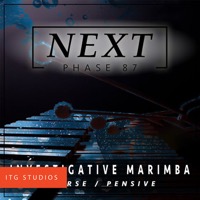 PHASE 87: Investigative Marimba album cover
