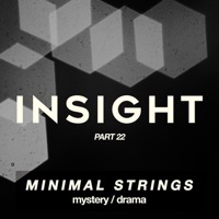 Part 22: Minimal Strings album cover