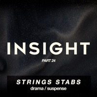 Part 24: String Stabs album cover