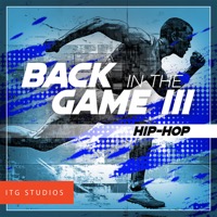 Back in the Game III : Hip-Hop album cover