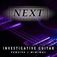 PHASE 110: Investigative Guitar album cover