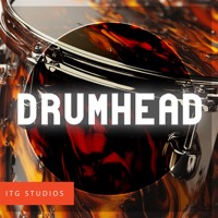 Drumhead album cover