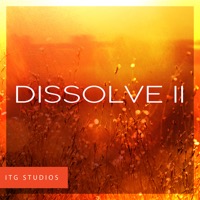 Dissolve II album cover