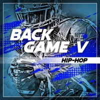 Back in the Game V: Hip-Hop album cover