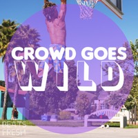 Crowd Goes Wild album cover